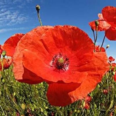 星空综合体育下载